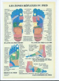 La réflexologie plantaire